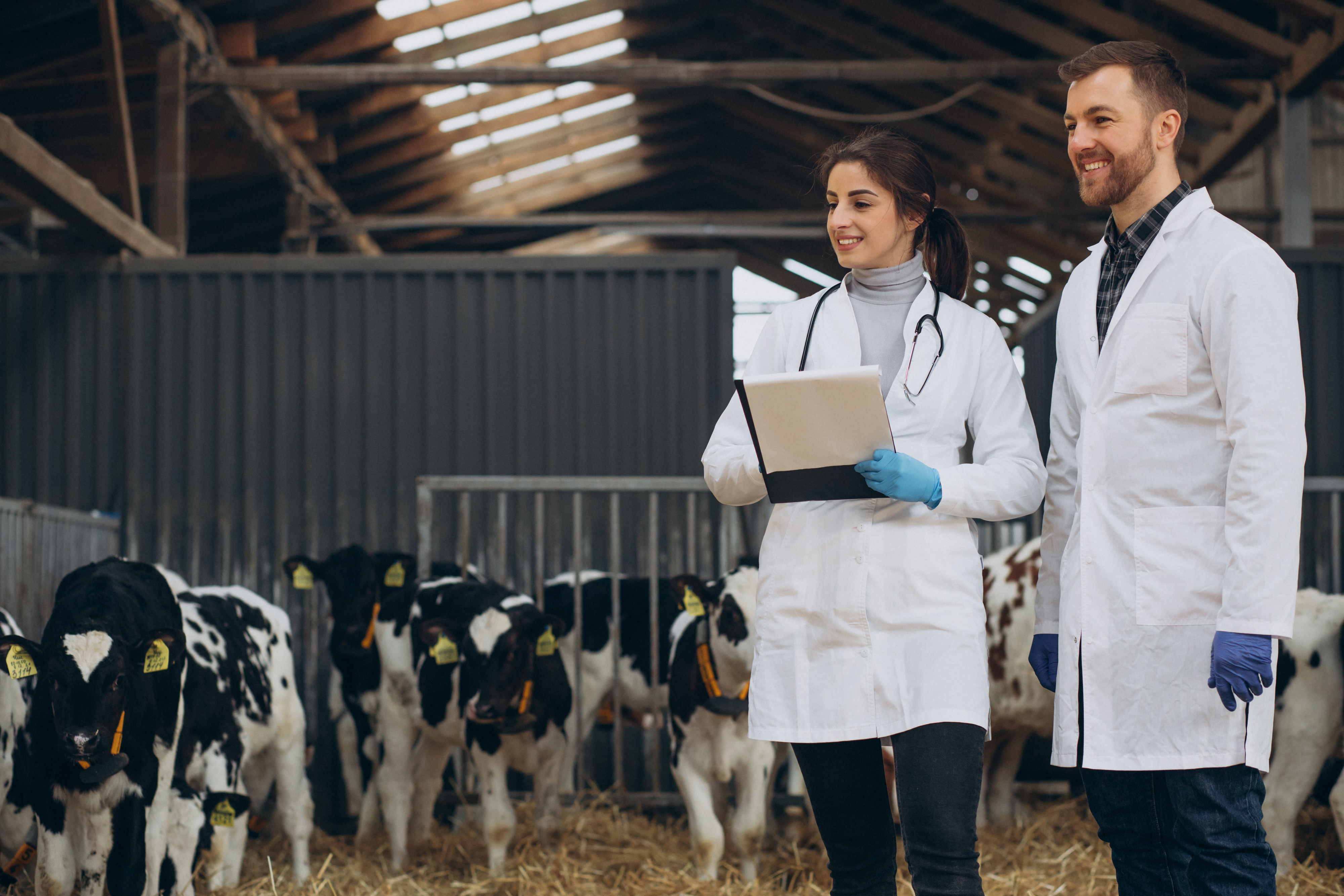 Modern Dairy Factory